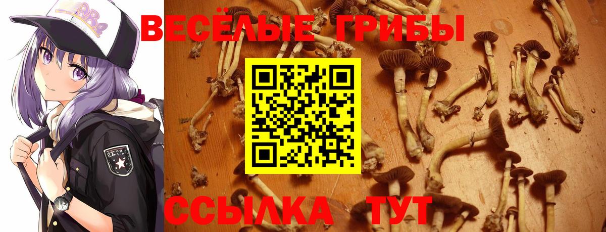 Псилоцибиновые грибы мухоморы  Вход с VPN  Новочеркасск 